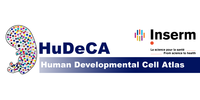 HuDeCa