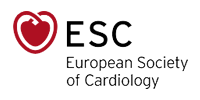 European Society of Cardiology