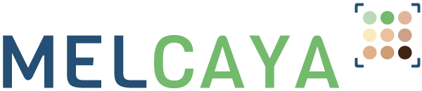 Logo of MELCAYA consortium