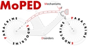 Mechanisms of Paracrine and Endocrine Disorders